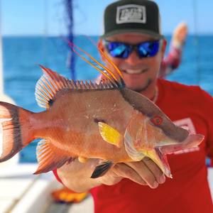 Meet your Posher, Gene